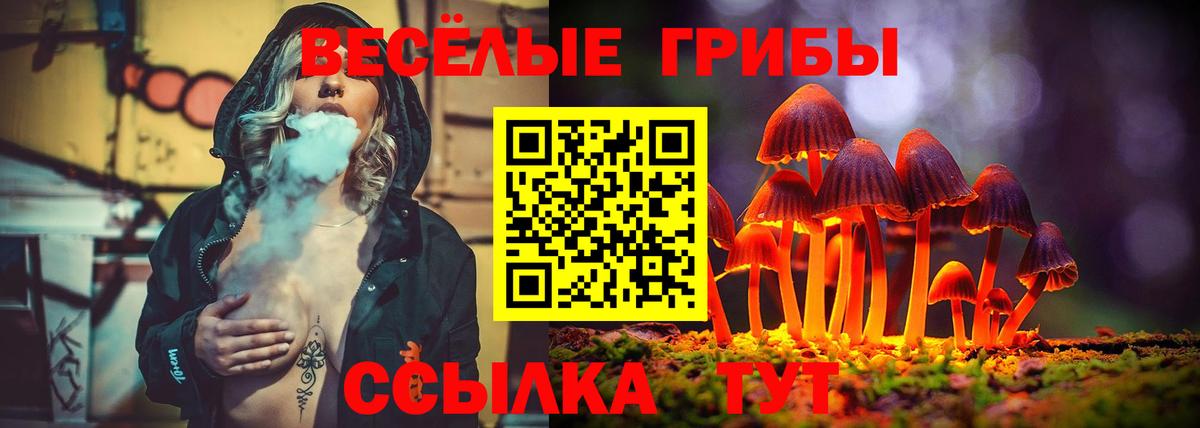 Галлюциногенные грибы Psilocybe  Вход с VPN  Магадан 